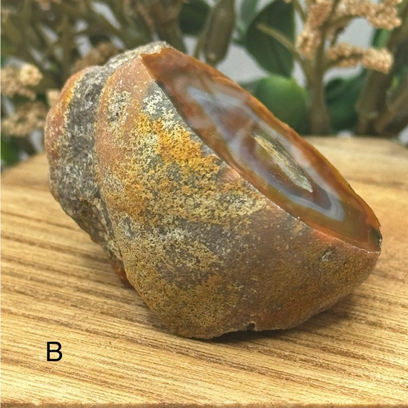 Coyamito Agate from Chihuahua Mexico - Picture 3 of 8